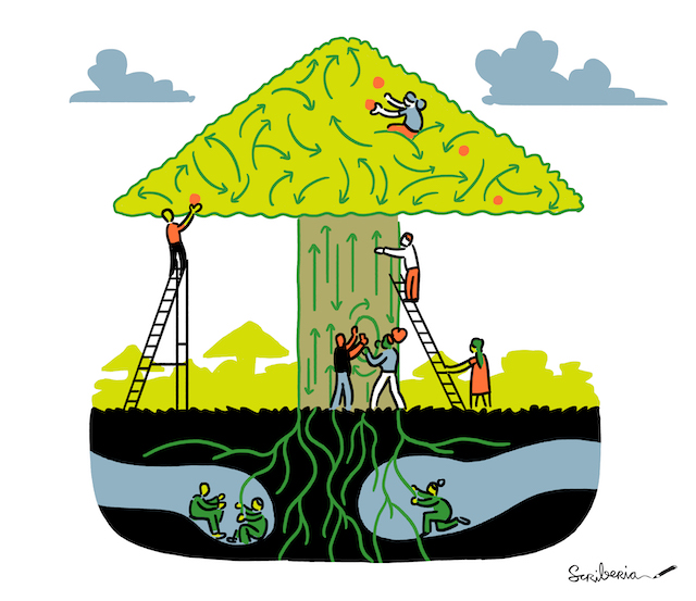 An illustration showing a tree with people working together on different parts of it - the roots, the trunk, and the canopy